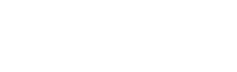 logo light
